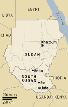 南スーダンｗｓｊ