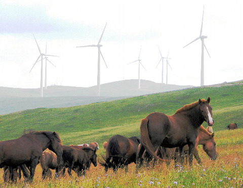 モンゴル投資会社が運営する風力発電所
