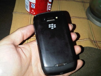 IMG00043-20100622-1849_R