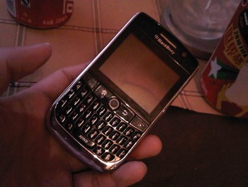 IMG00040-20100622-1848_R