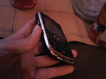 IMG00041-20100622-1848_R