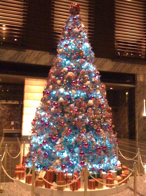 iPhone20101219 846