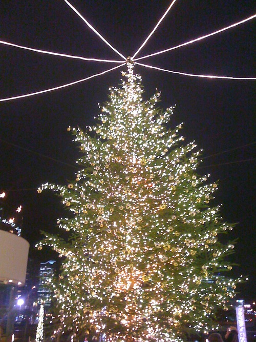 iPhone20101219 854