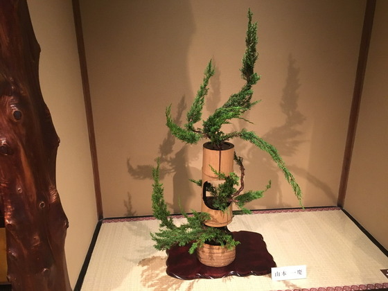 ikebanahyakudan2017 (12)