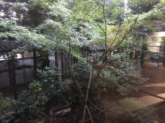 ikebanahyakudan2017 (28)