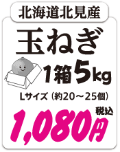 北海道新たまねぎ