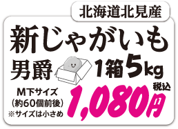 北海道新じゃがいも
