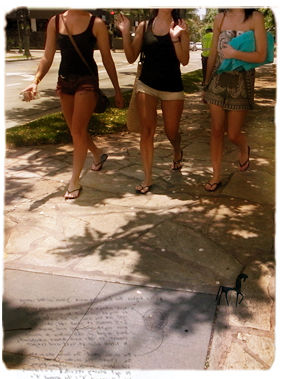 20110628-3