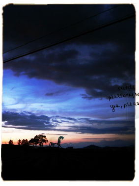 20110615-5