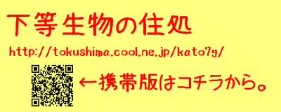 看板31代目