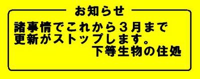 看板16代目