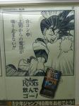 080528-roots-5.jpg