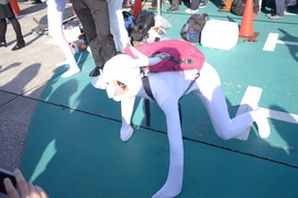 20121229-C83nt_15
