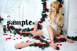 sample501