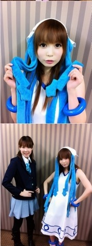 syokotan