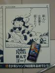 080528-roots-42.jpg