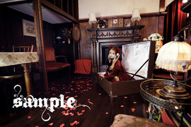 sample503