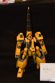 20150825-CarhobMS_92