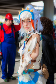 20150426-nicnicday2_440