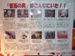 081226-sinanjyu-3.jpg