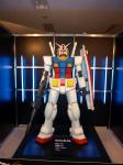 080820-GEXPO-1.jpg