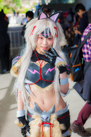 20150426-nicnicday2_433