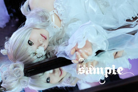 sample506