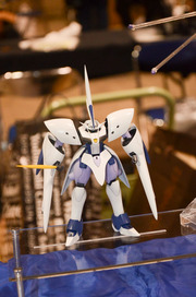 20150825-CarhobMS_49