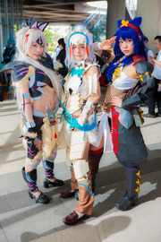 20150426-nicnicday2_423