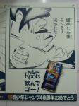 080528-roots-22.jpg