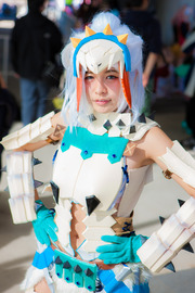 20150426-nicnicday2_439