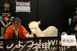 20130427-ncnckini_19