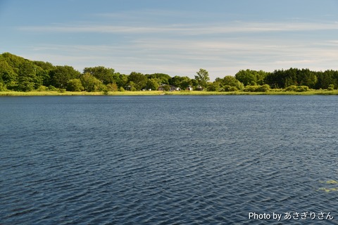 D50_6074