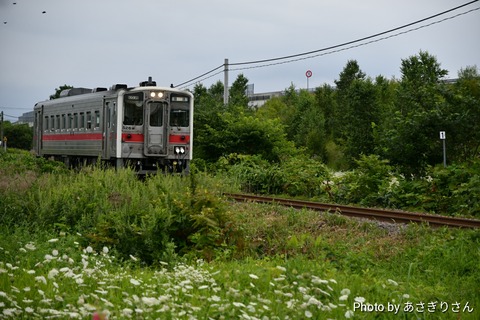 D50_6351
