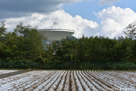 D81_4026