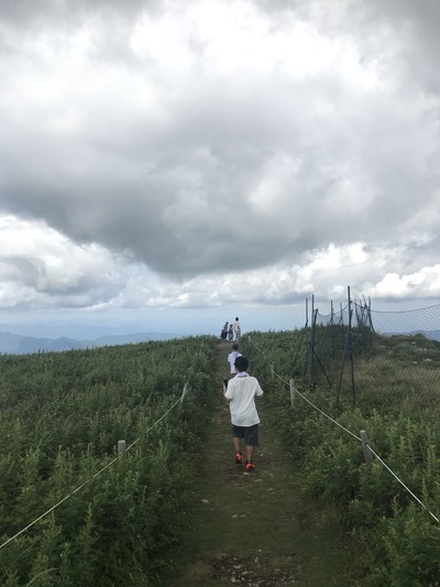 写真 2018-08-18 13 25 28