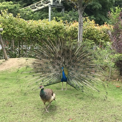写真 2018-06-24 12 40 27