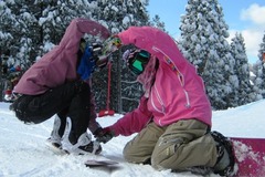 IMG_0550-1