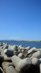 e1558269.jpg