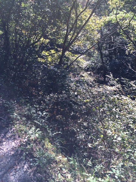 2014-10-30-11-08-20