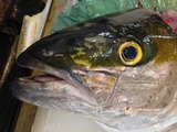 14b30c95.jpg