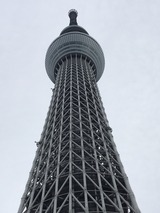 45362d0a.jpg