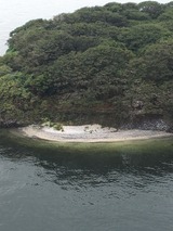 5e01007a.jpg