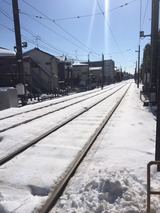 88145b55.jpg