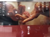 a0ef63c6.jpg