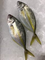 b7d41b38.jpg