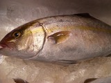 e57386b5.jpg