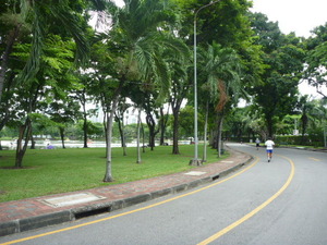 P1060698