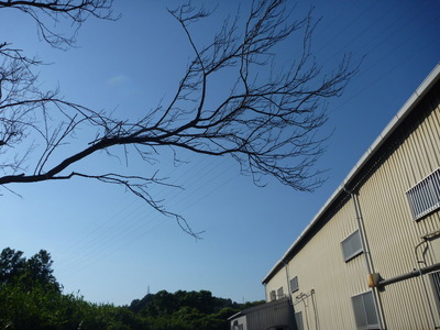 P1090576