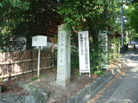 P1010515